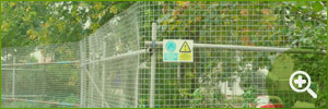 Arboricultural Impact Assessments