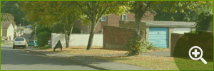 TPOs and Trees in Conservation Areas